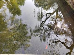 -趵突泉景区