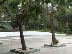 -红色娘子军纪念园