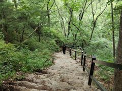 -王顺山国家森林公园