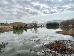 -鸣鹤古镇