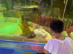 -宝燕乐园(闵行旗舰店)