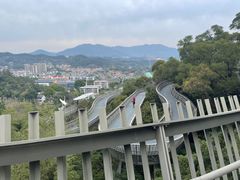 -福道