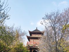 -堤角公园