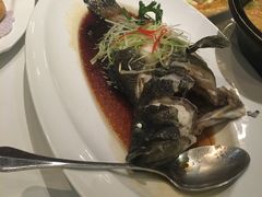 老虎ban-唐宫海鲜舫