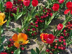 -杭州师范大学(下沙校区)