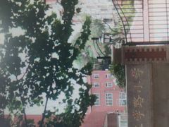 -青岛大学路小学