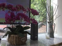 -蝶舍·MAISON PAPILLON