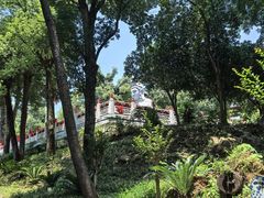 -潜山国家森林公园