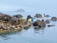 -养马岛旅游度假区