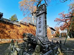 -灵谷景区