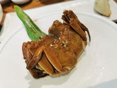 -苏小柳手作点心(控江旭辉分院)