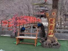 -丹东凤凰山景区