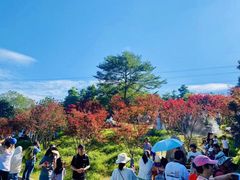 -广州市帽峰山景区