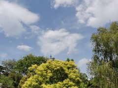 -莲花池公园
