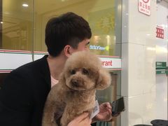 -悠尼宠物·独立低压伊珊娜洗护·美容·寄养(兰谷路店)