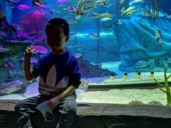 -沈阳海洋探索中心