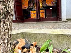 -西园戒幢律寺