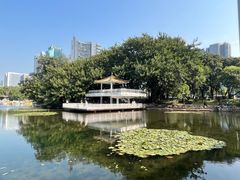 -荔枝公园(福田区)