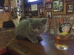 -丽纳尔斯酒吧LENORE’S BAR(三经街店)