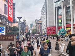 -泰康食品(南京东路店)