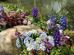 -人民公园(罗湖区)