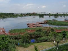 -芒洲湿地公园