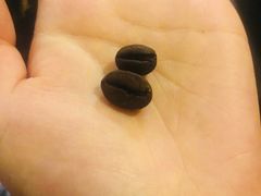 -巴厘岛黄金金兔咖啡工厂