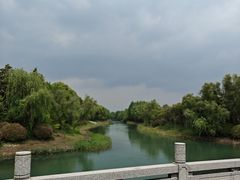 -贡湖湾湿地公园