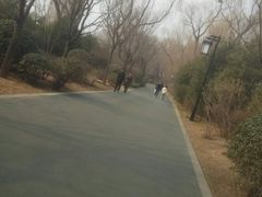 -迎泽公园