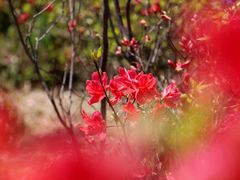 -瑞安圣井山景区