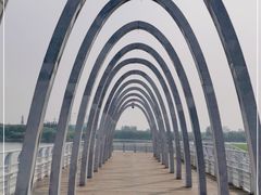 -大兴滨河森林公园