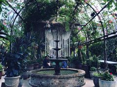 -The Grounds of Alexandria