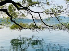 -湖畔居茶楼(湖滨店)