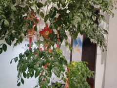 -锋味餐厅(空港复悦里店)