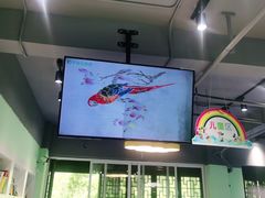 -学知乐教育·幼小衔接·小学科辅导(嘉定镇校区)