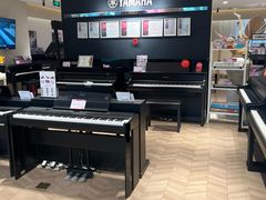 -雅歌音乐培训中心·钢琴培训·乐器培训(交道口店)