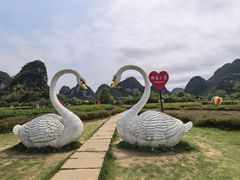 -靖西鹅泉风景区