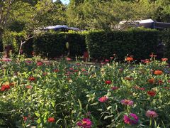 -崇明东平国家森林公园烧烤房车露营地