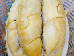 -都念榴莲·城市榴莲