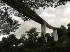 -亨德森波浪桥