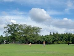 -上海滨江森林公园