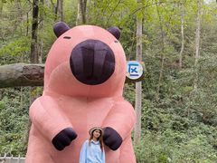 -石燕湖生态旅游景区