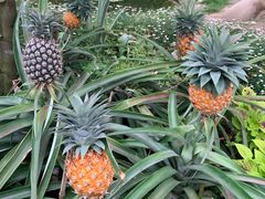 -南通洲际绿博园