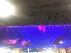 -韩礼年糕(飞虹路店)