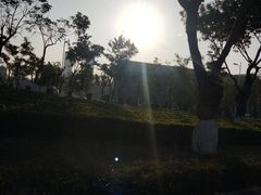 -五缘湾湿地公园