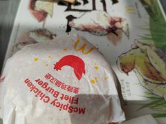 -麦当劳(塔园路店)