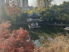 -水绘园