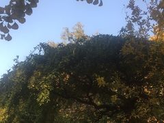 -郭守敬纪念馆