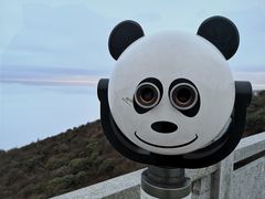 -大围山国家森林公园