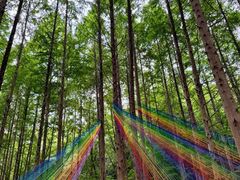 -小格里自然风景区